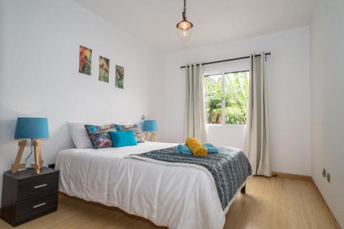 - une chambre avec un lit et une fenêtre dans l'établissement Ocean View Madeira, à Madalena do Mar