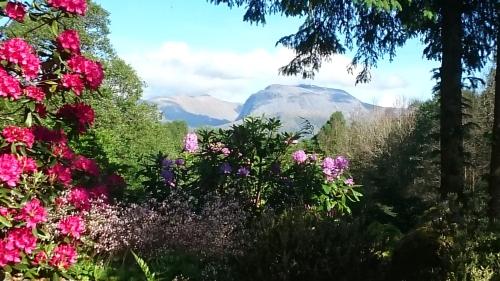 a garden with flowers and mountains in the background at TOM BEAG - Ben Nevis view ROOMS in Fort William