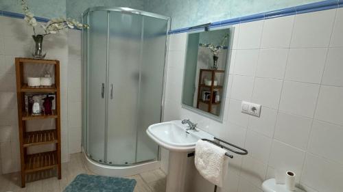 a bathroom with a shower and a sink at PUEBLO ENCANTO, Apartamento Rural in Herrera del Duque