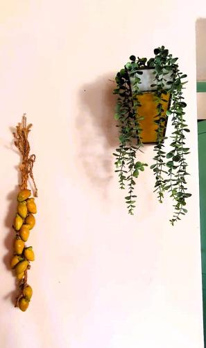 Gambar di galeri bagi Casa Tilia di Montecalvo in Foglia