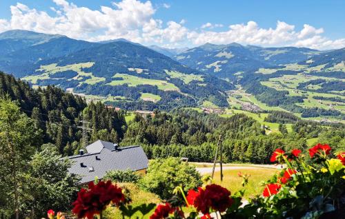 a view of a valley with a house and flowers at Ferienwohnung Mit Bergpanorama in Hopfgarten im Brixental