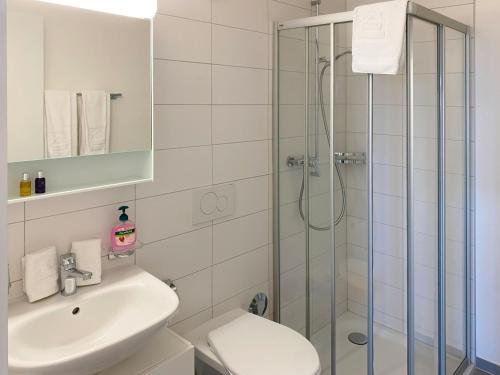 a bathroom with a shower and a toilet and a sink at Modern apartments in the heart of Lausanne in Lausanne