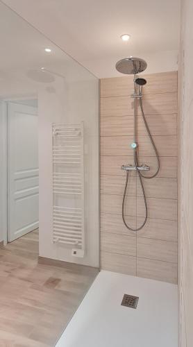 La salle de bains privative est pourvue d'une douche. dans l'établissement Domaine de la Navicelle, au Pradet