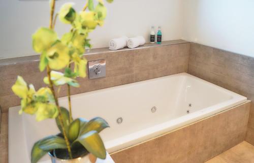 a bath tub in a bathroom with a plant at Hotel Restaurant Kohlbrecher Villeroy & Boch in Osnabrück