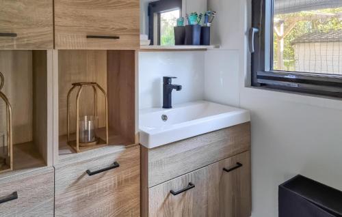 a bathroom with a sink and a window at Cozy Apartment In Lieren With Wifi in Loenen