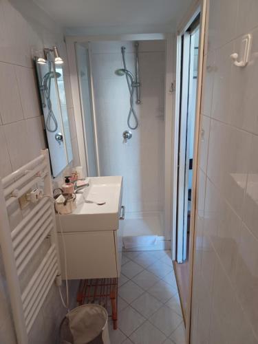 a bathroom with a sink and a shower and a mirror at CasAnnalisa - bilocale in centro storico in Faenza