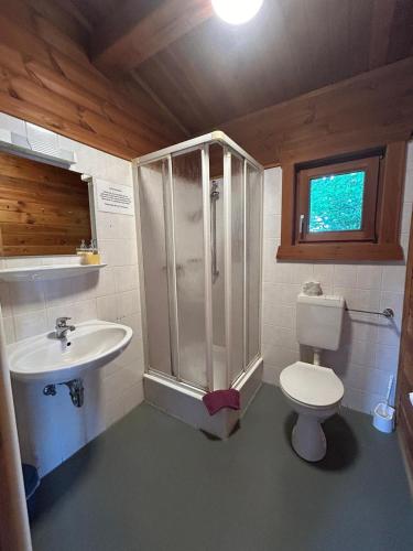 a bathroom with a shower and a toilet and a sink at ABB Sportcenter Gänsefurth, Doppelzimmer ohne Küche, Standard Doppelzimmer mit Küche in Hecklingen