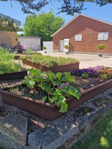 a garden with various plants and flowers at Filskov Kro in Grindsted