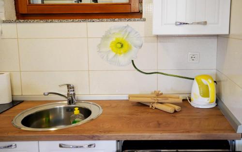 blat kuchenny ze zlewem i białym kwiatem w obiekcie Apartament Jukić w mieście Sveti Filip i Jakov