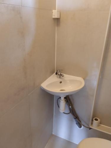 a bathroom with a sink and a toilet at Domek v přírodě Hradec Králové in Hradec Králové