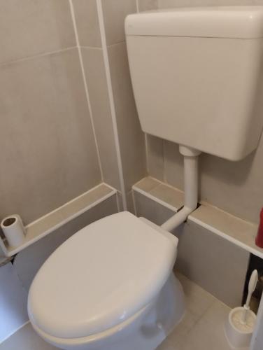 a bathroom with a white toilet in a room at Domek v přírodě Hradec Králové in Hradec Králové