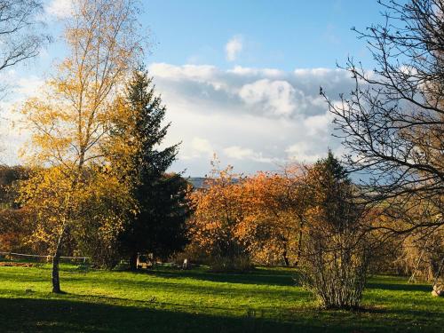 a park with trees and green grass with a sky at La Maison de l'Andelot in Monteignet-sur-lʼAndelot
