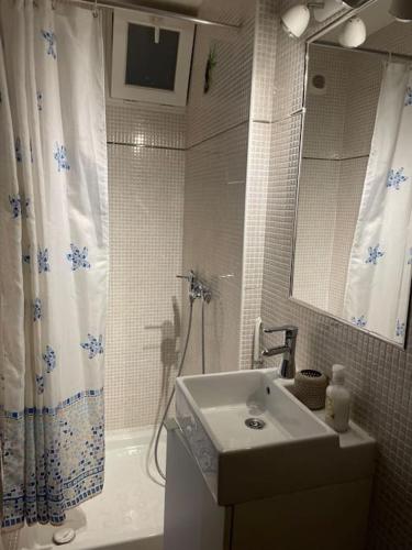 une salle de bain avec un lavabo et une douche avec un miroir dans l'établissement Studio du vieux port de la ciotat, à La Ciotat