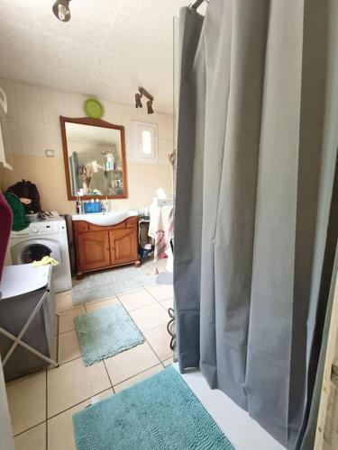 La salle de bains est pourvue d'un lavabo et d'une douche avec des tapis bleus. dans l'établissement Green House, à Pont-de-Chéruy