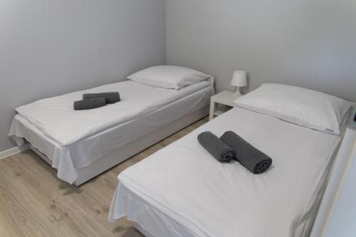 Voodi või voodid majutusasutuse Ośrodek Dydaktyczno-Socjalny AWF Poznań toas