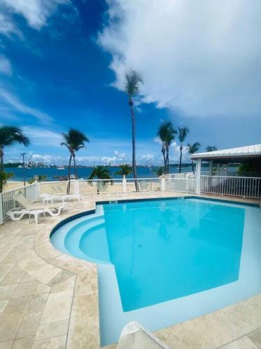 a blue swimming pool with palm trees and the ocean at Appartement in Baie Nettle