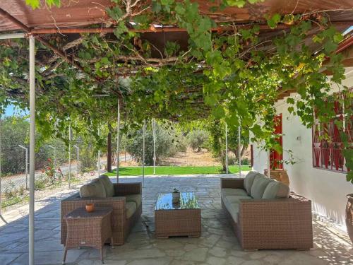 Gallery image of The OliveOrange Grove House! in Kalavasos