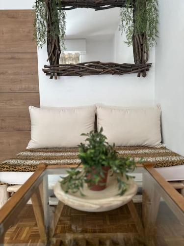 une pièce avec deux bancs et une plante en pot sur une table dans l'établissement Studio Lulu, à Marseille