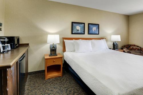 a hotel room with a large bed with two lamps at Stoney Creek Hotel La Crosse - Onalaska in Onalaska