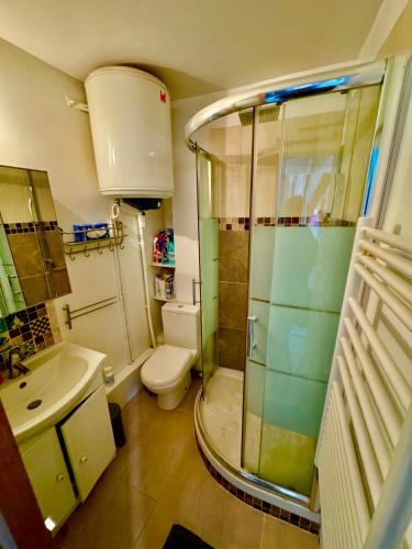 une salle de bain avec une douche, des toilettes et un lavabo dans l'établissement Appartement Loft et studio, à Paris