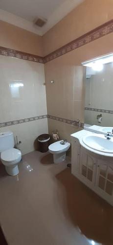 a bathroom with a toilet and a sink and a mirror at Casa Estrella in Santaella