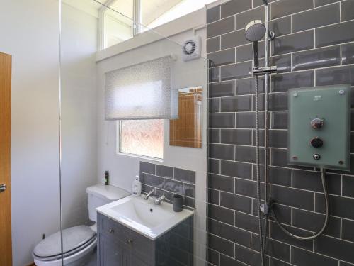 a bathroom with a sink and a toilet at Pebble Beach Chalet in Seaton