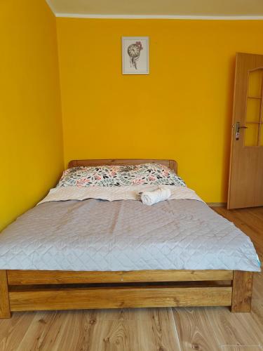 Apartament u Alicji