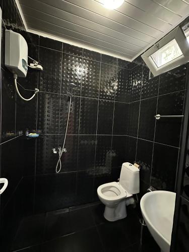 a bathroom with a toilet and a sink at Horizon Hills - ჰორიზონ ჰილს in Kvariati