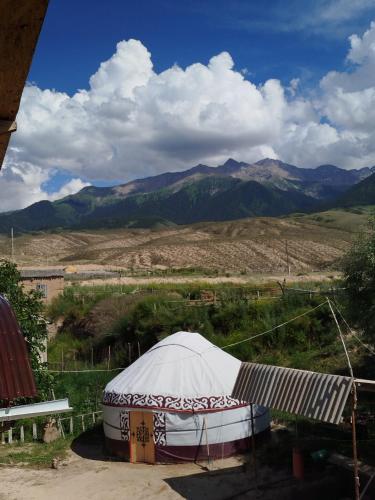 a yurt in a field with mountains in the background at Hоuse Baatyr78 in Barskoon
