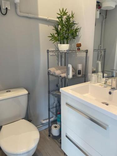 une salle de bain avec des toilettes blanches et un lavabo dans l'établissement Le Studio, à Vendeuvre-sur-Barse