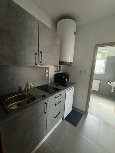 a kitchen with a sink and a counter top at Chaty a Apartmány Hracholusky Kemp Kosatka in Pňovany