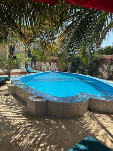 a large blue swimming pool sitting under a palm tree at Residence Saint James in Somone