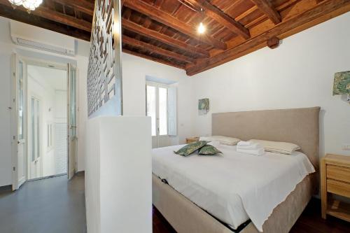 Monti SPQR suite