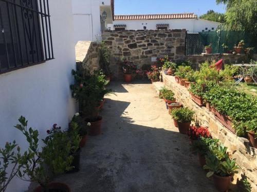 Apartamento Las adelfas
