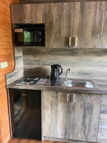 a kitchen with a sink and a stove and microwave at Houseboat U Vodníka in Krásná Hora