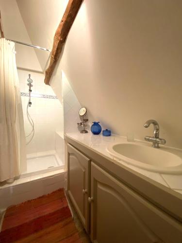 une salle de bain avec un lavabo et une douche dans l'établissement Le Manoir de la Lanterne et son cottage - 2 à 9 pers, à Neuville-sur-Touques