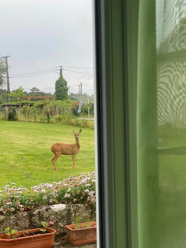 Une halte entre terre et mer