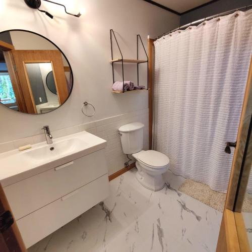 a bathroom with a toilet and a sink and a mirror at Hummingbird B&B in Gabriola