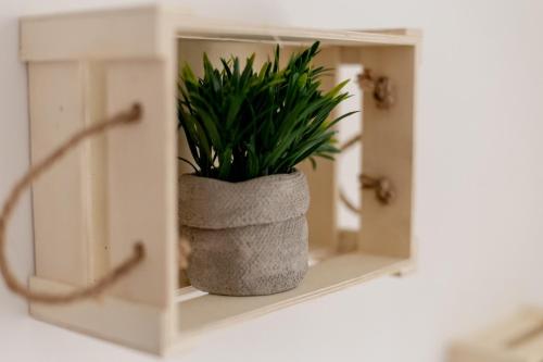 a plant in a pot sitting on a shelf at La Dimora dei Nipoti in Bari