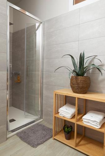 a bathroom with a shower and a plant on a shelf at La Marina Apartment Suites in Falerna Marina