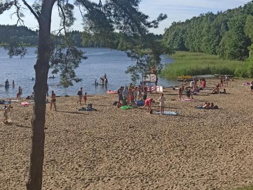 a group of people on a beach near the water at Apartament nad Jeziorem Kamień in Kamień