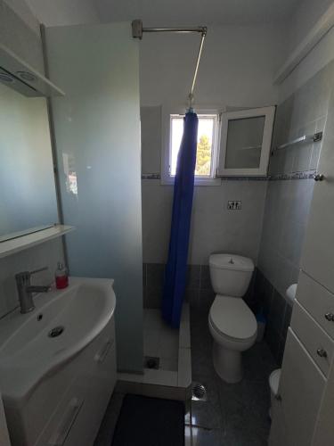 a bathroom with a toilet and a sink with a blue shower curtain at Studio Metamorfosi in Metamorfosi
