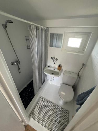 a bathroom with a toilet and a sink and a shower at ALEKSANDRA in Wiele
