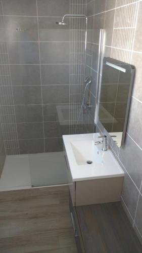 une salle de bain avec un lavabo et une douche avec un miroir dans l'établissement Maison moderne avec piscine, à Alès
