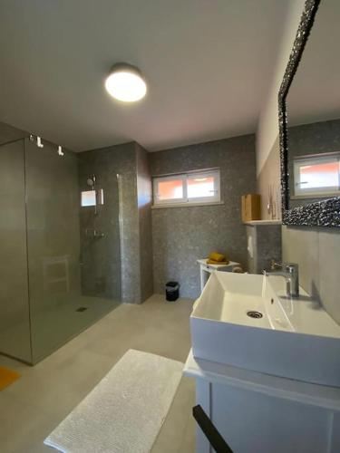 a bathroom with a sink and a glass shower at La Familia in Blato