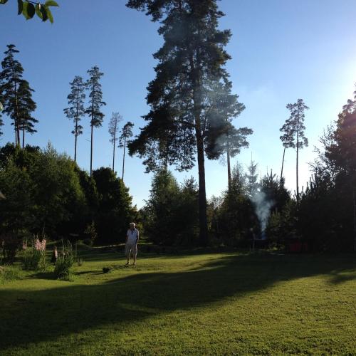 a person standing in a park with a dog at Sepa Talu in Aakre