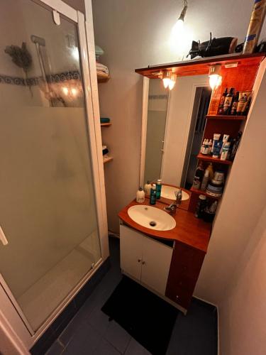 une salle de bain avec un lavabo et une douche dans l'établissement Appartement meublé très bien situé, à Boulogne-Billancourt