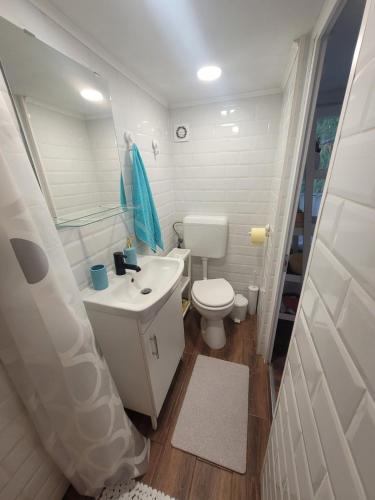 Un baño de ApróLak Apartman Zalakaros