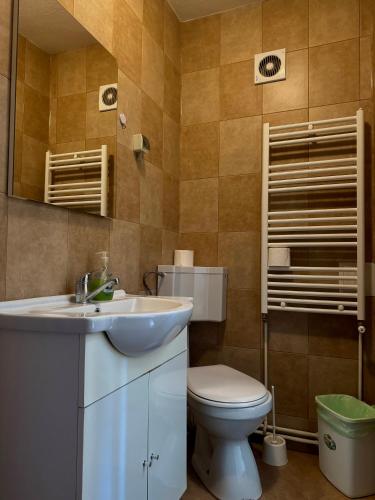a bathroom with a sink and a toilet at Vila Lilica in Bran