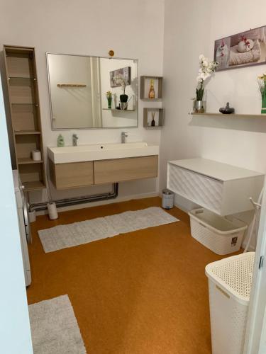 une salle de bain avec un lavabo et un miroir dans l'établissement Appartement 120m2, à Aleçon